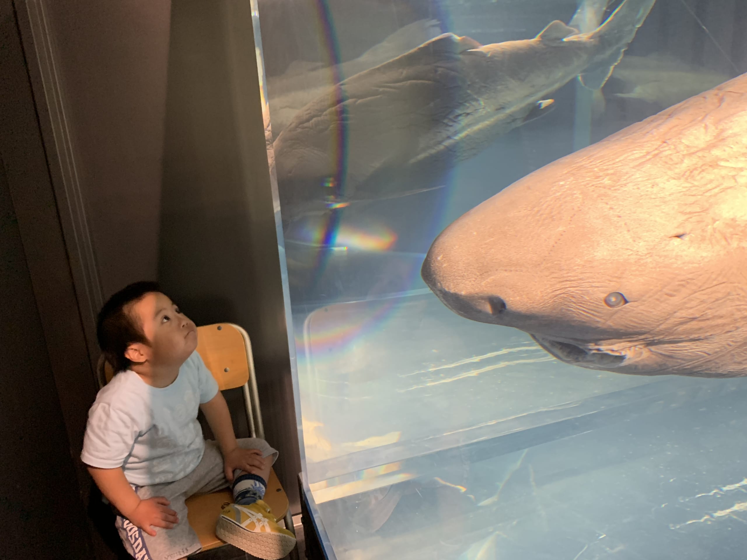 55A19E4D-4218-4F74-ADE6-FB68E5836457